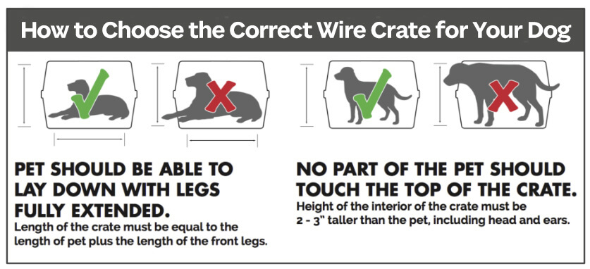 Dog Crate