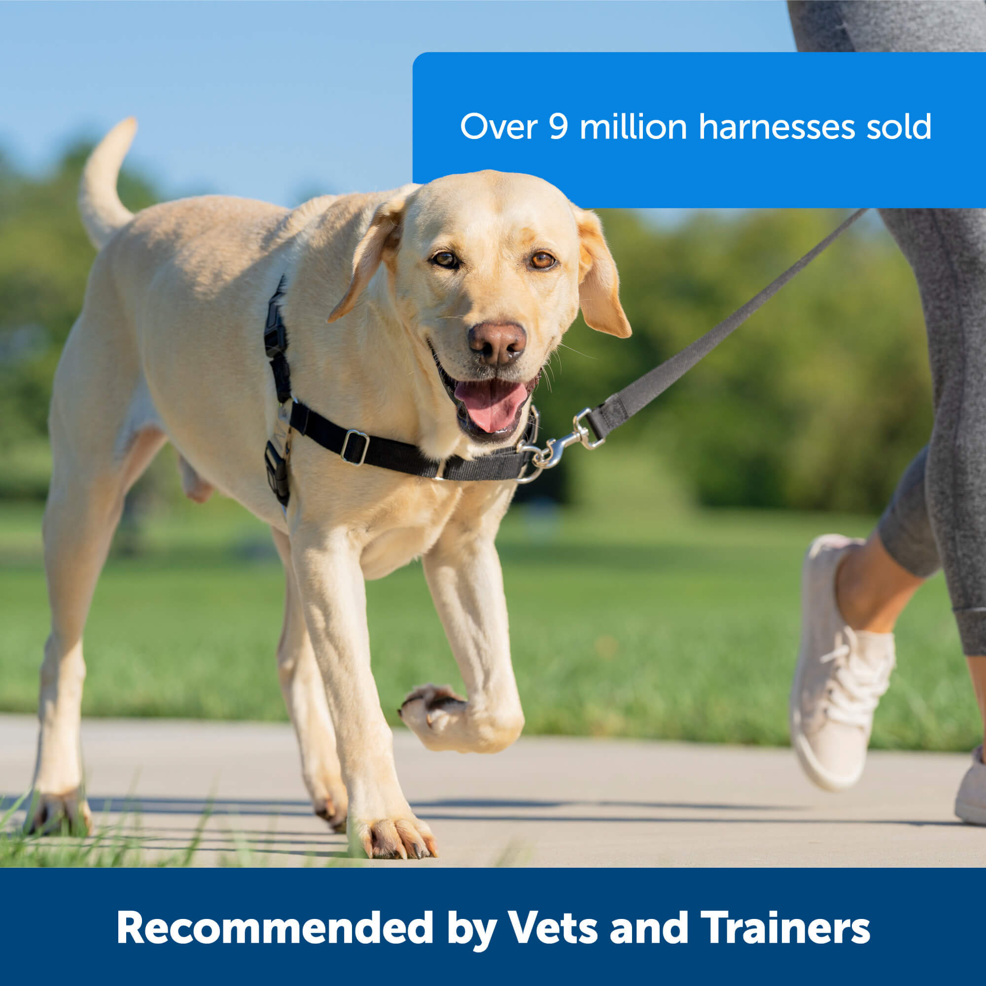 Recommended by vets and trainers