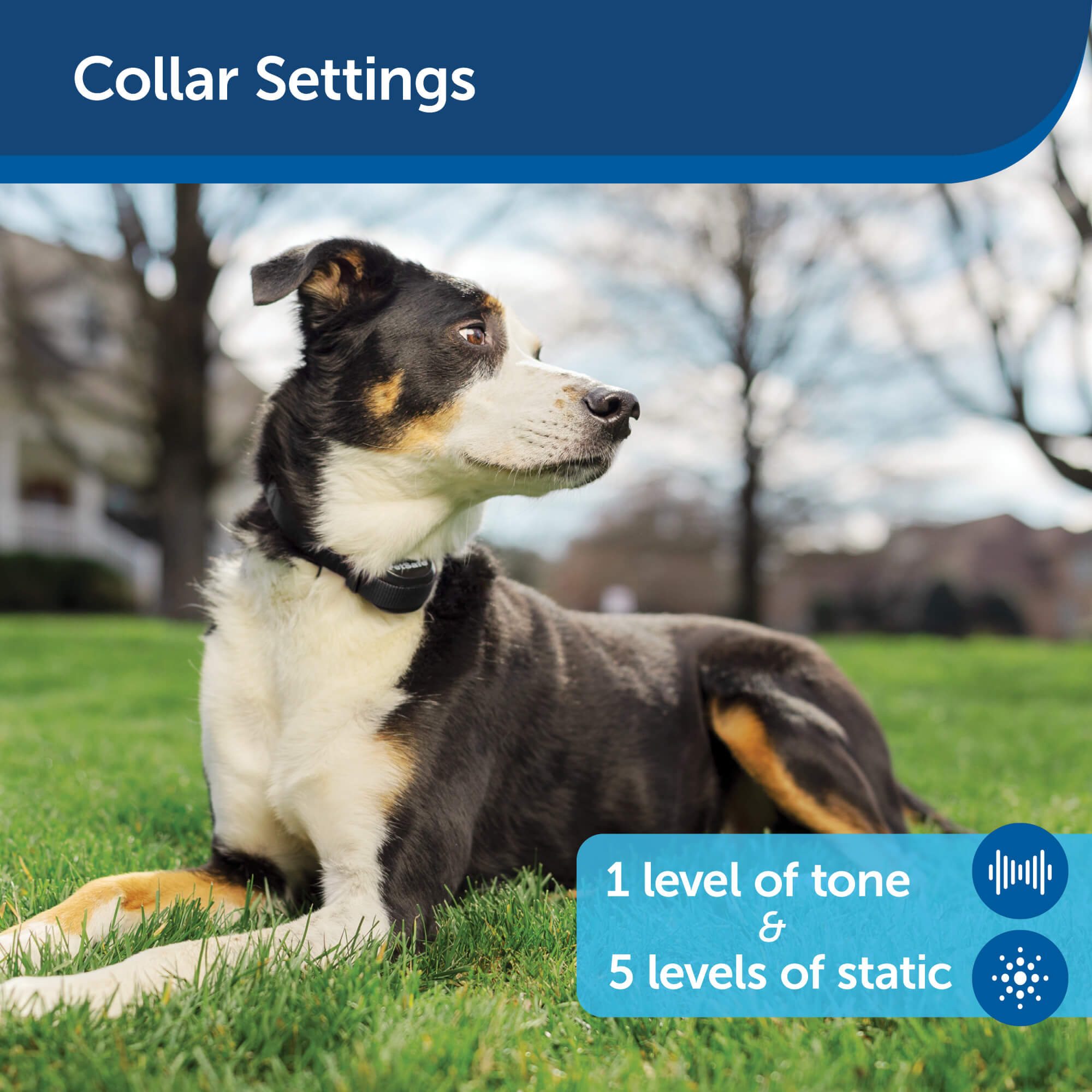 Petsafe Stay And Play Collar settings 