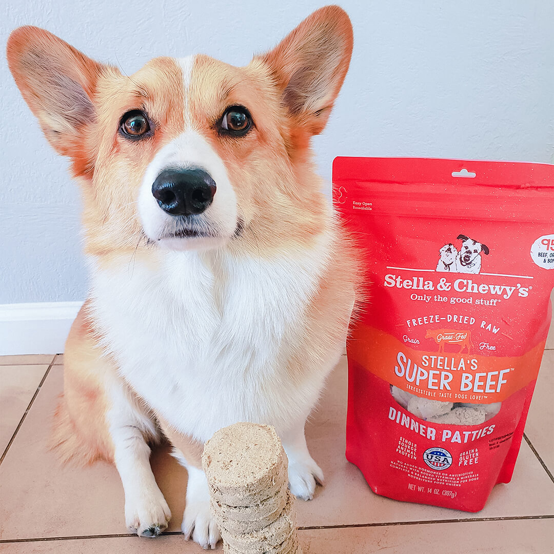 Stella & Chewy's Super beef freeze-dried patties lifestyle