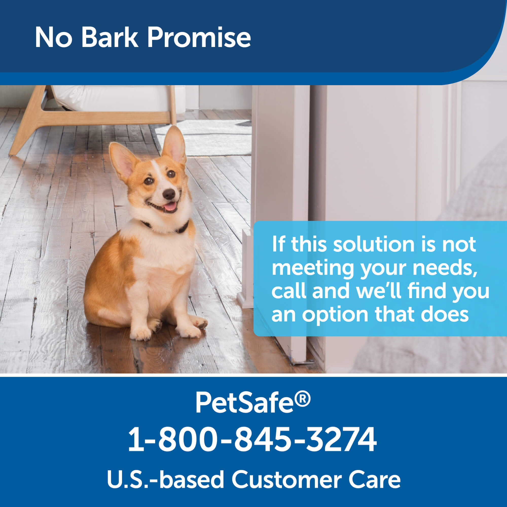 No bark promise