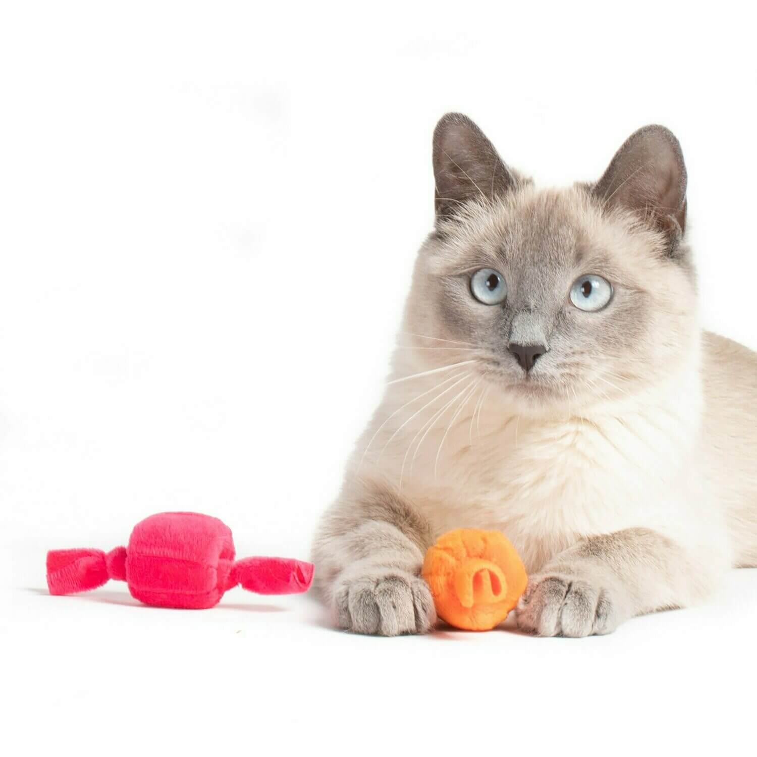 Hauspanther - Cat Toy - Taffy Rolls