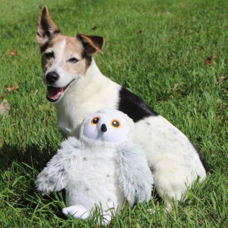 Tall Tails - Plush Dog Toy - Animated Snow Owl