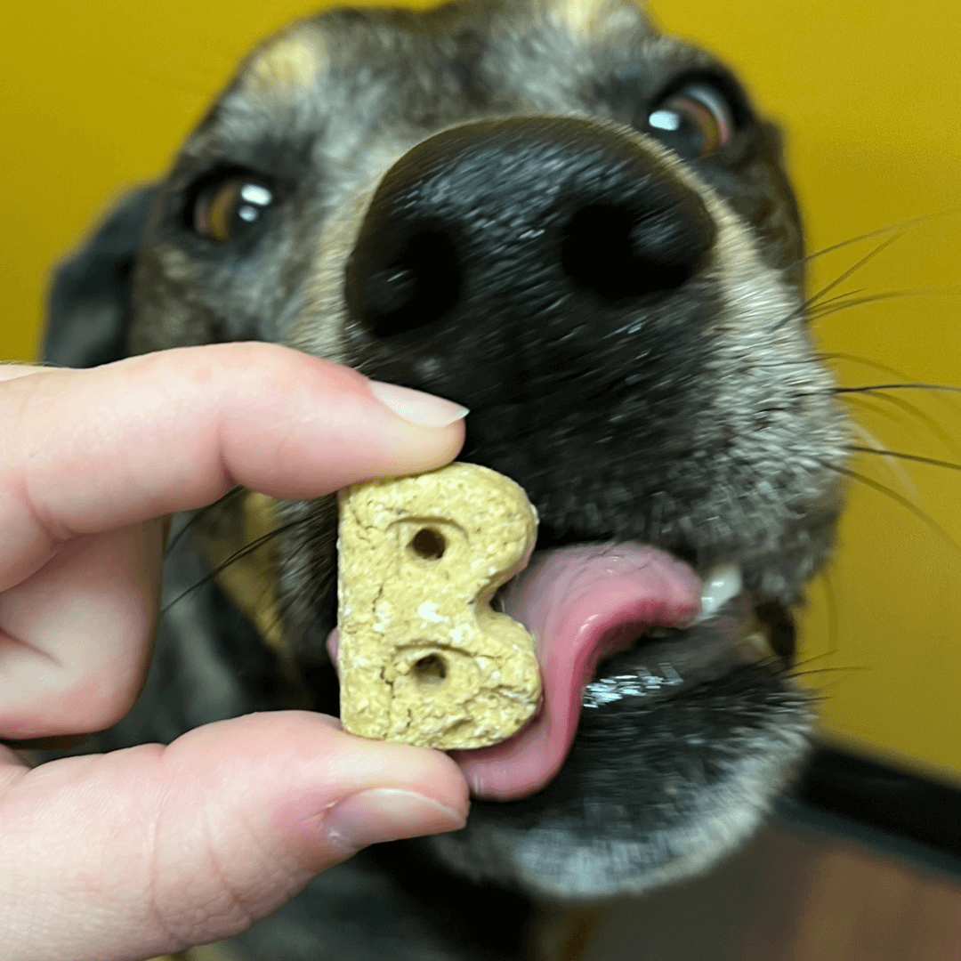 Bocce's Bakery - Dog Treat - Bac'n Nutty