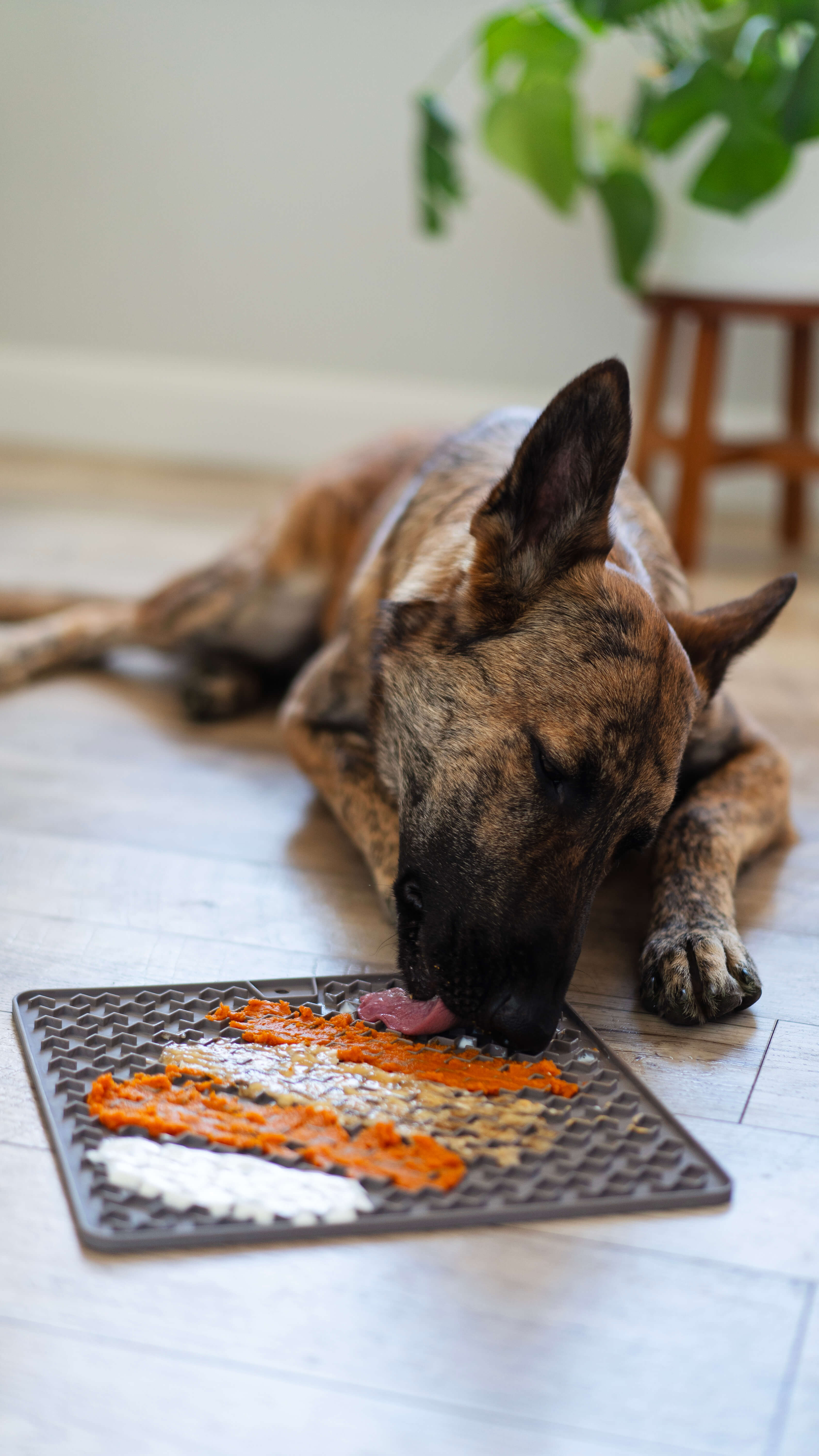 Messy Mutts - Therapeutic Licking Mat - Gray