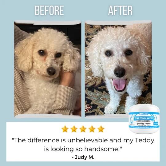 Nootie - Pet Wipes - Tear Stain