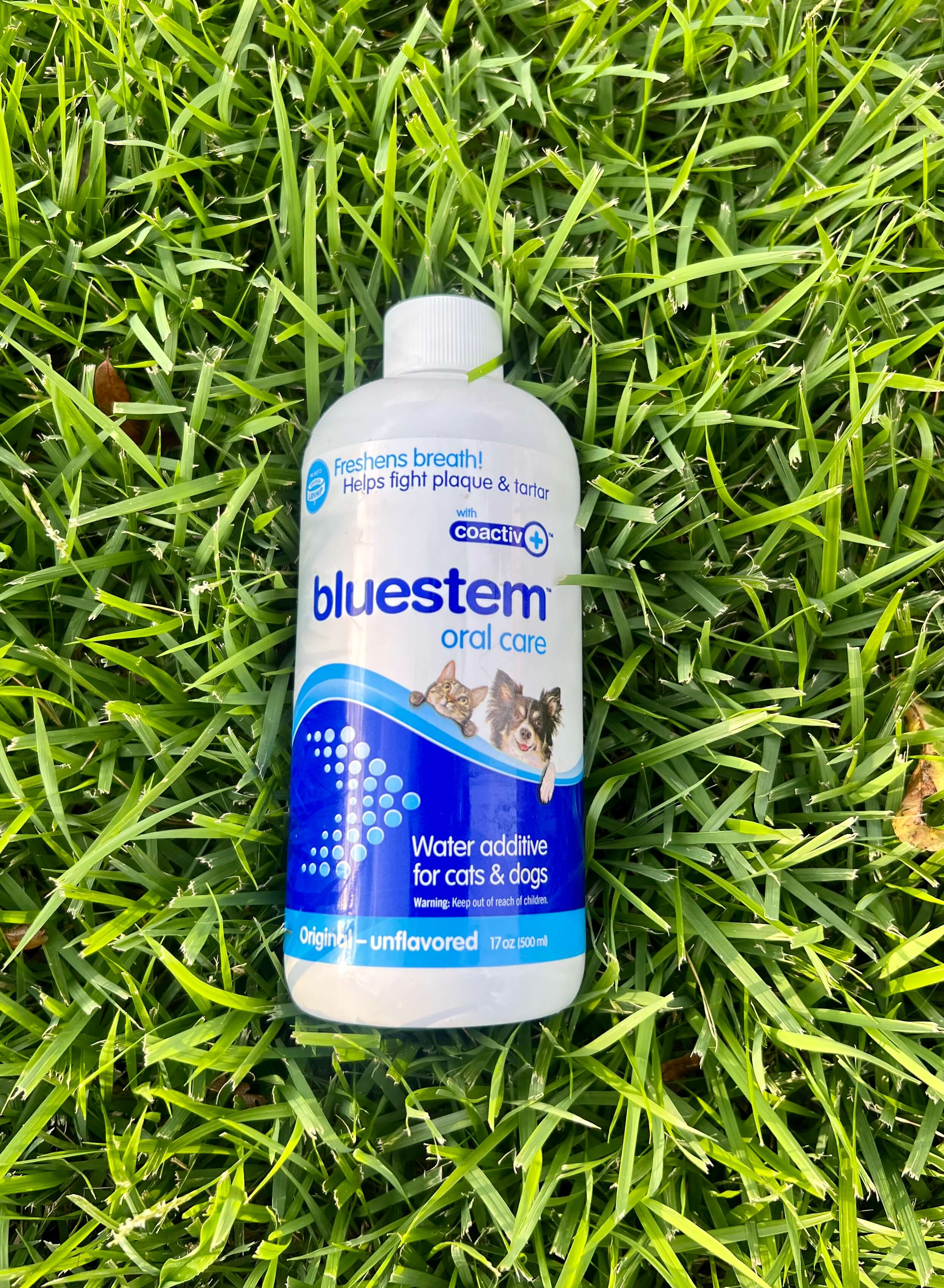 bluestem - Water Additive - Original