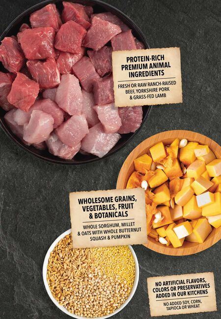 ACANA Dog Food Red Meat and Grains Ingredients