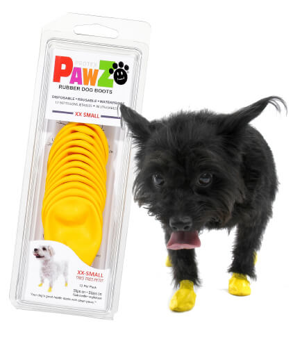 Pawz xxs boots on dog