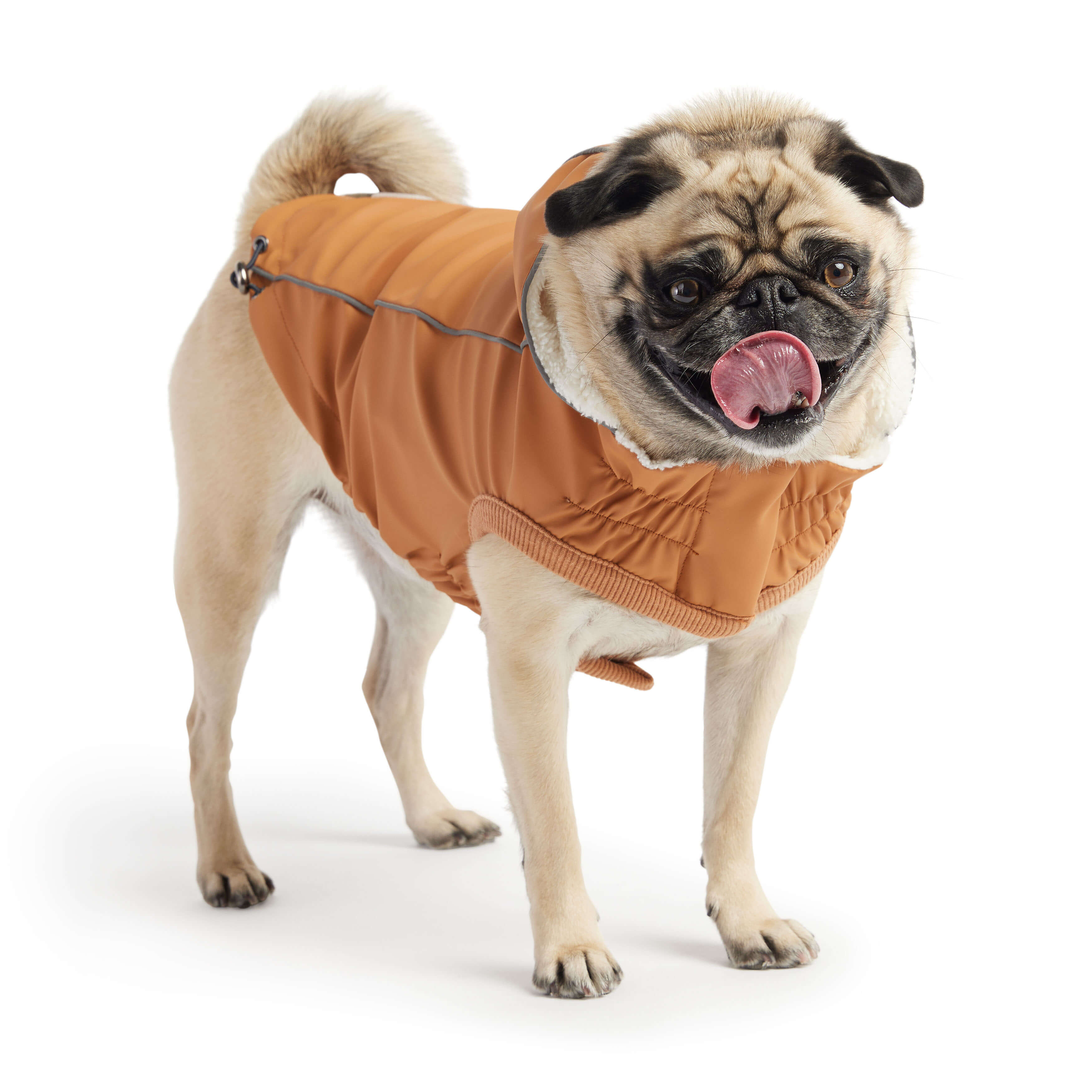 GF Pet - Pet Raincoat