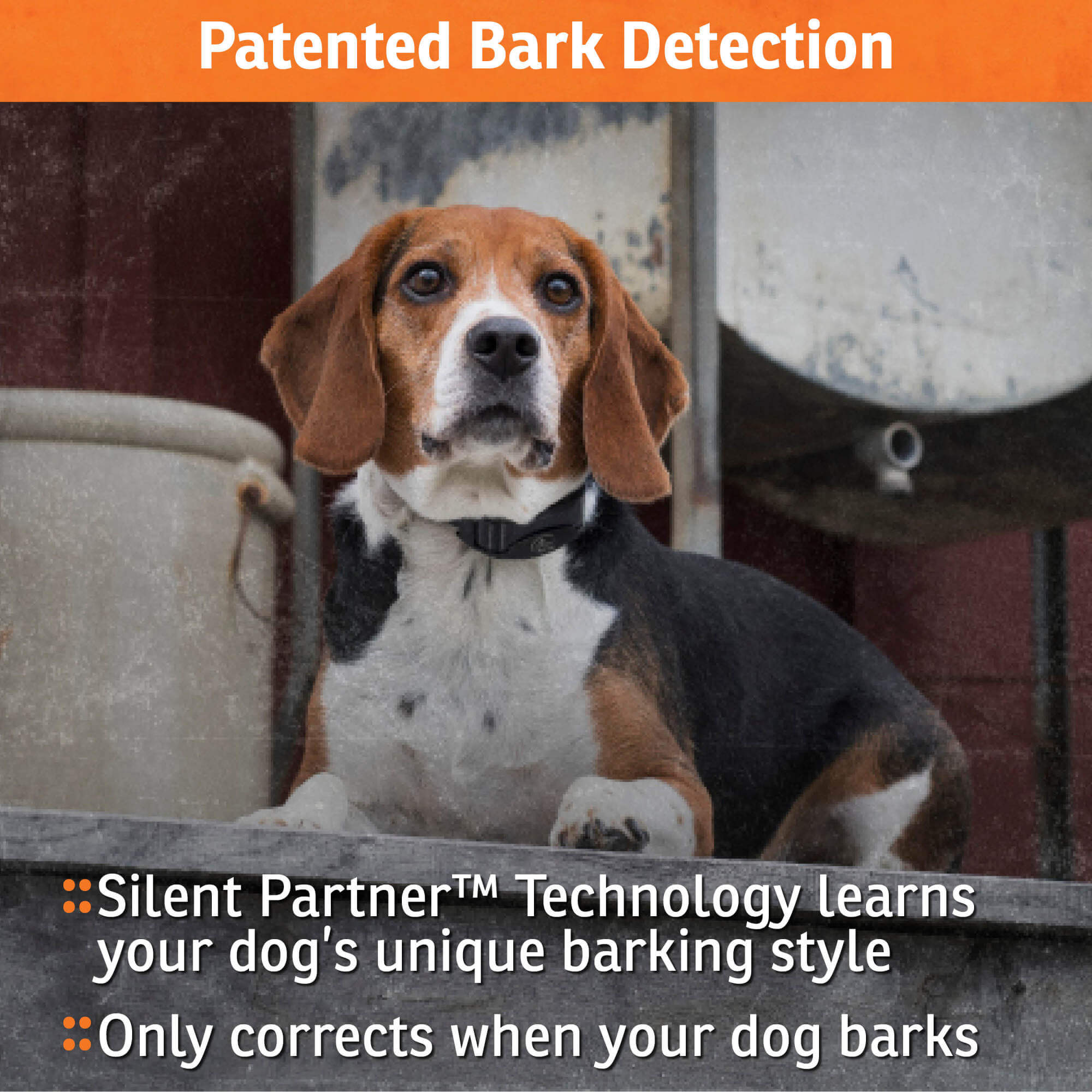 SportDog no bark dog Collar SBC-10 patented bark detection