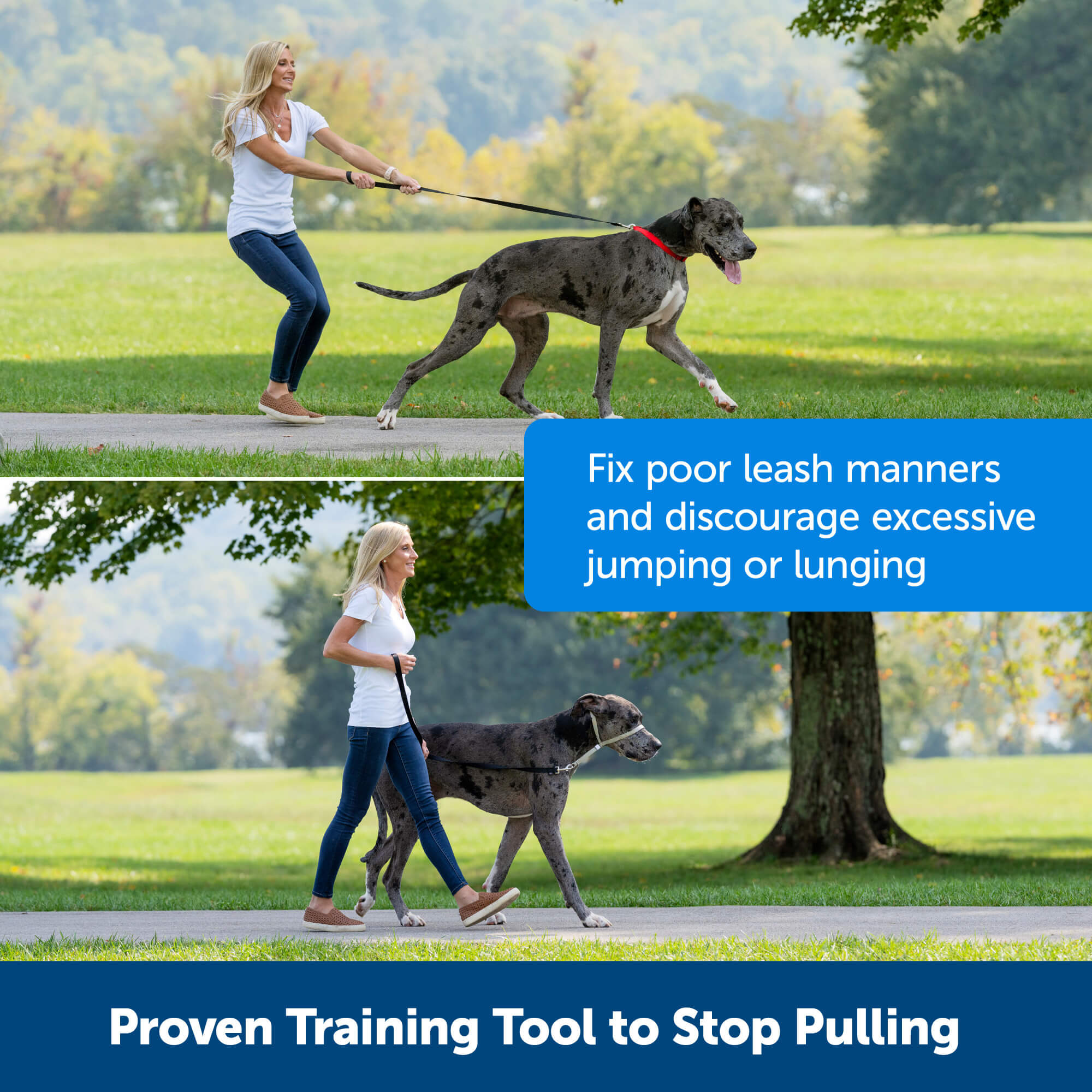 PetSafe gentle leader  Proven training tool to stop pulling