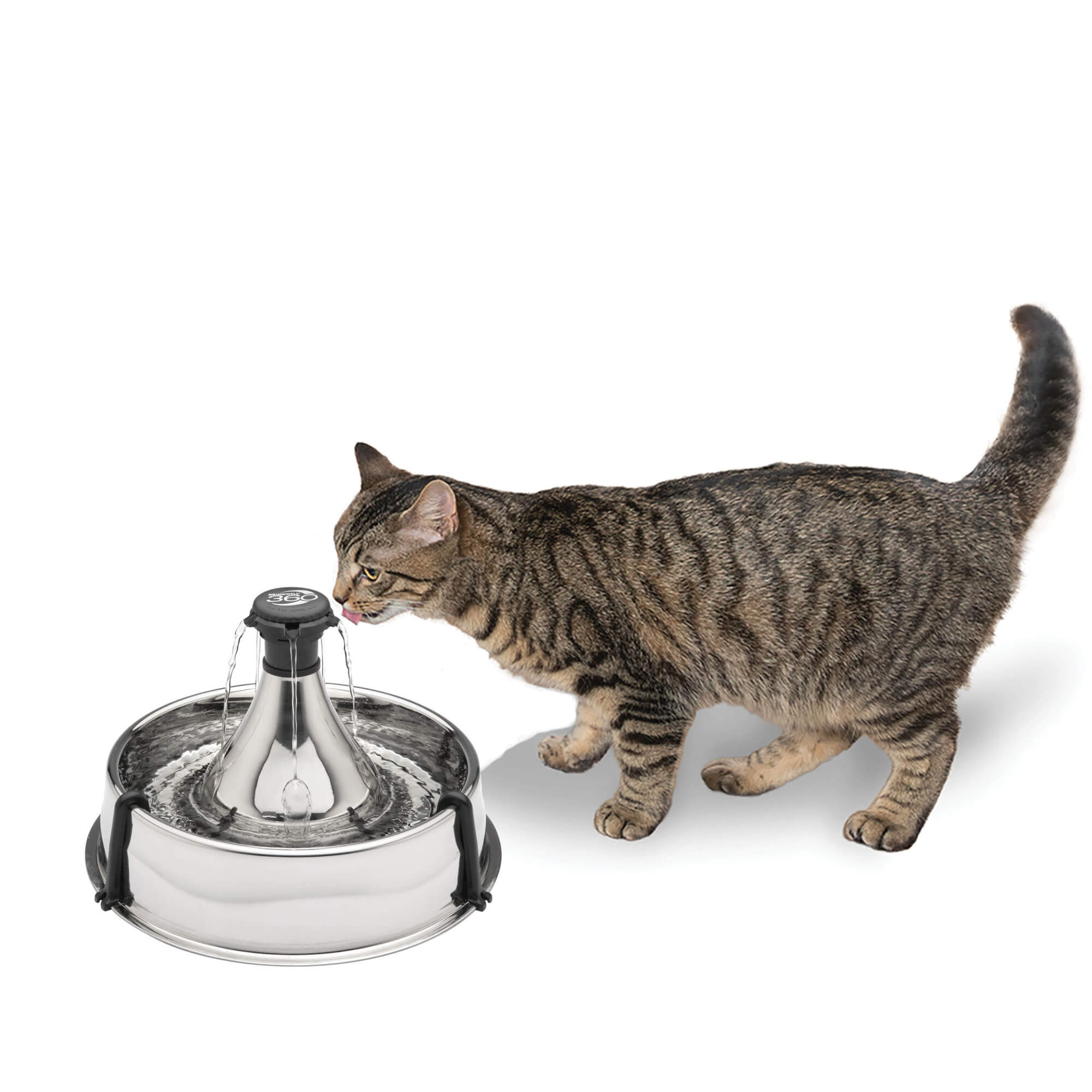 Cat drinking from drinkwell stainless steel 360 pet fountain