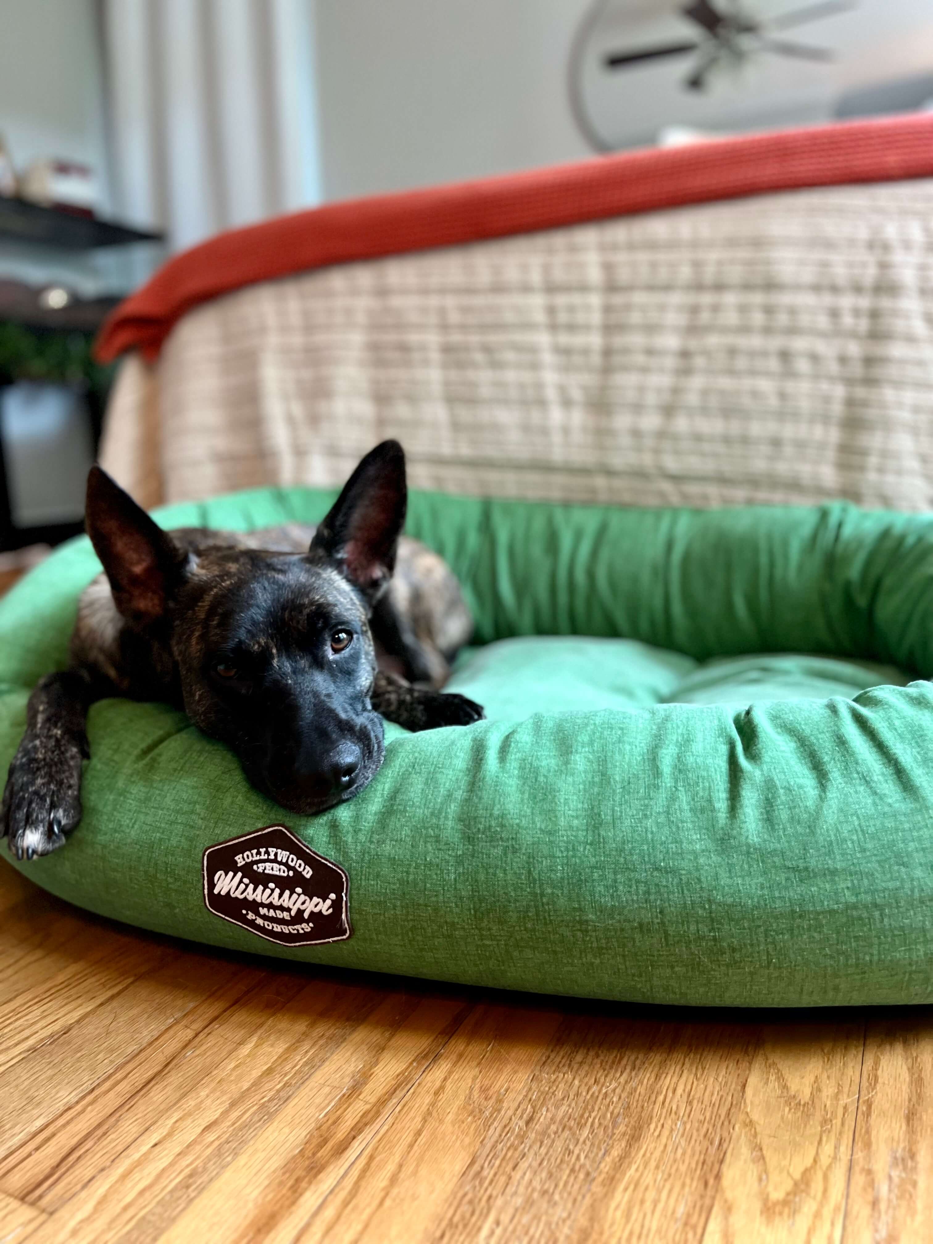 Donut Dog Bed - Herb