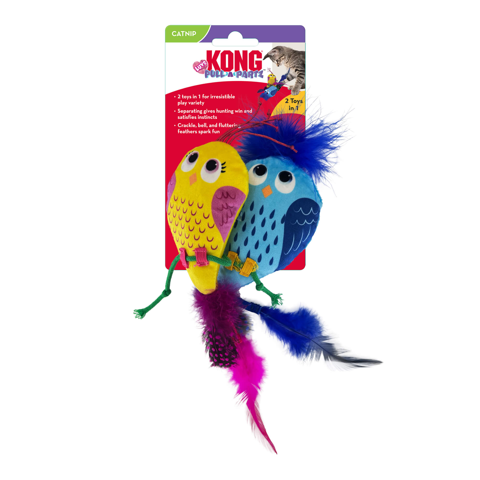 kong pull a part birds cat nip toy in packaging