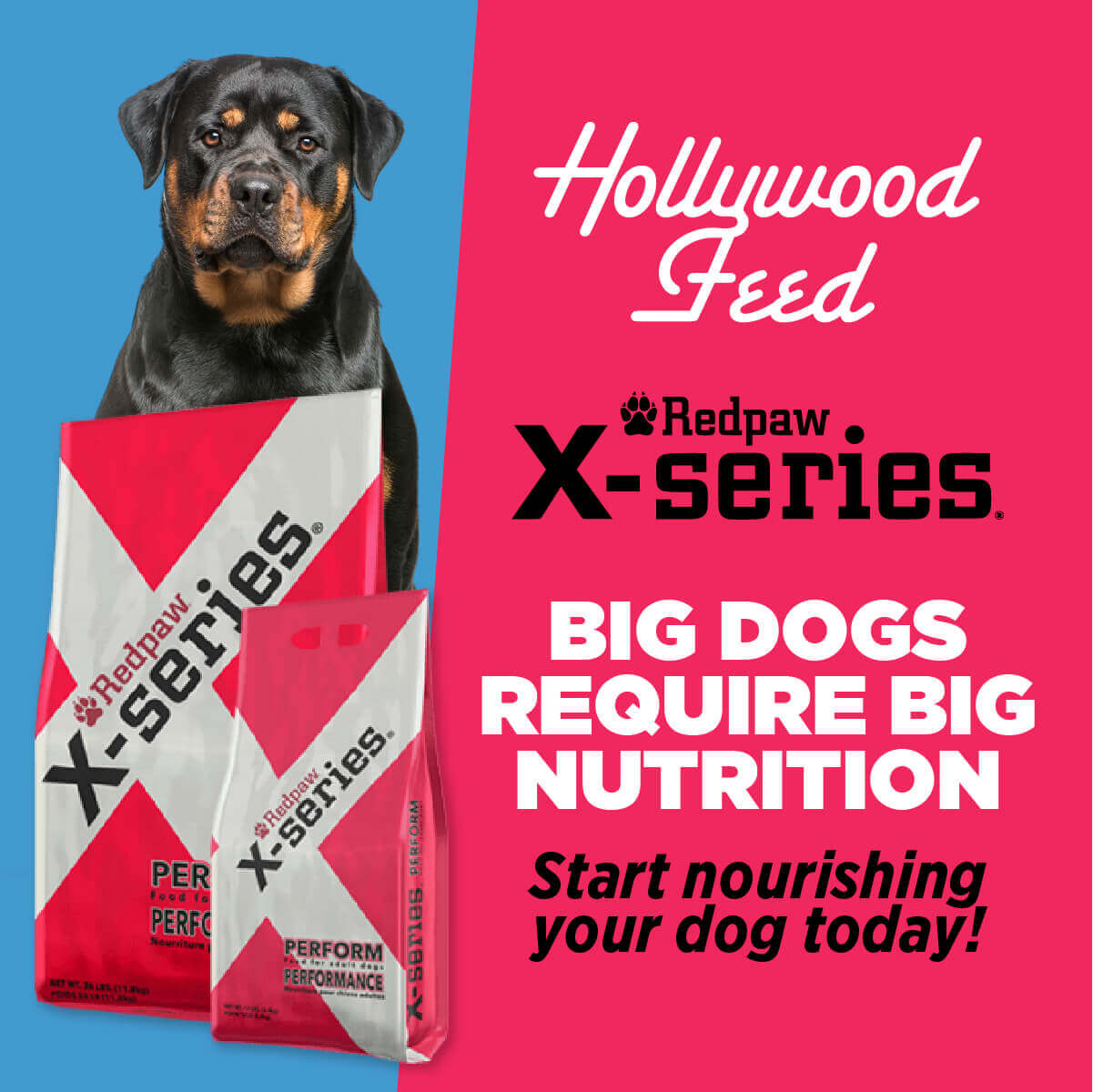 Redpaw Dog Food X Series Perform Hollywood Feed Your Local Pet F