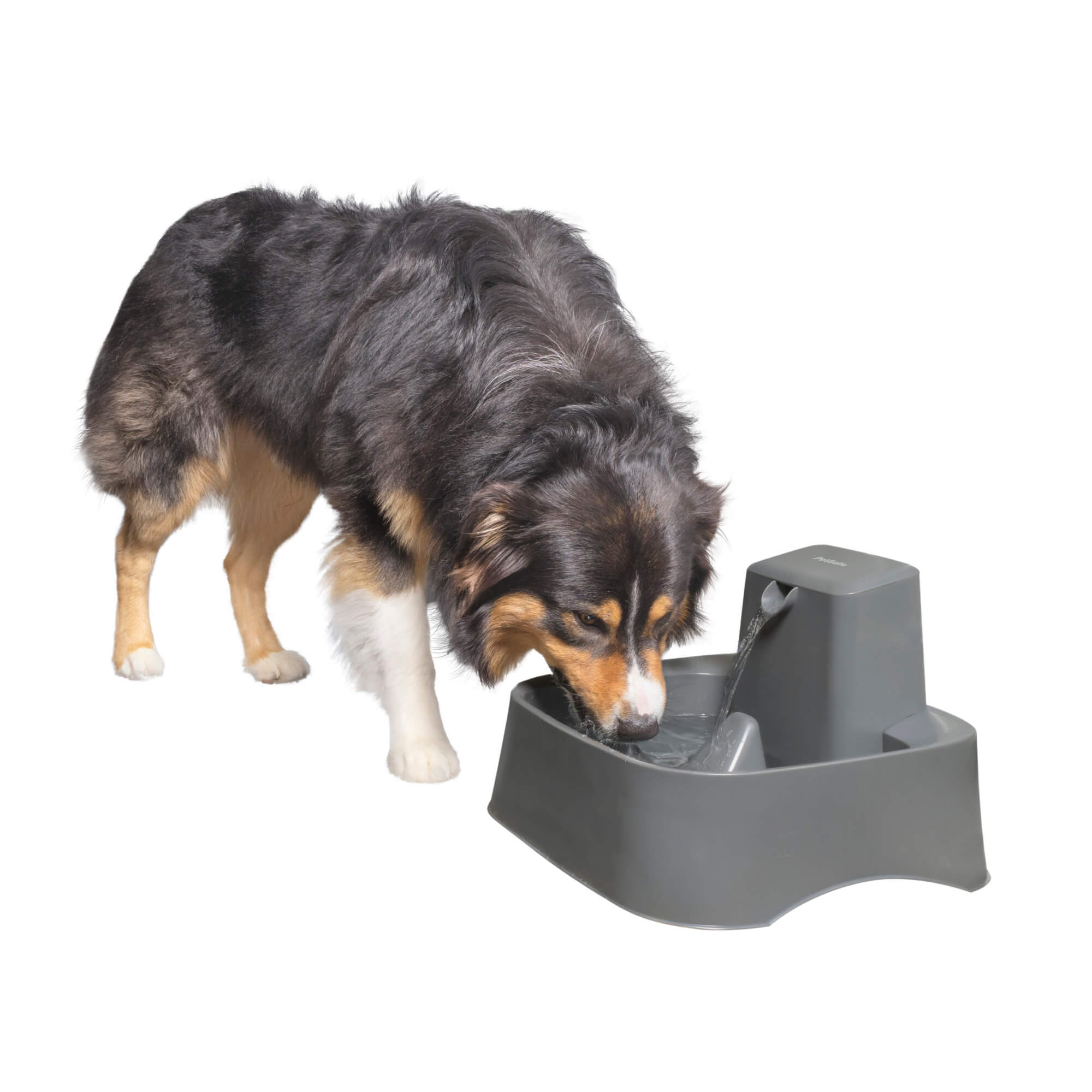 Dog drinking from drinkwell pet fountain - automatic waterer