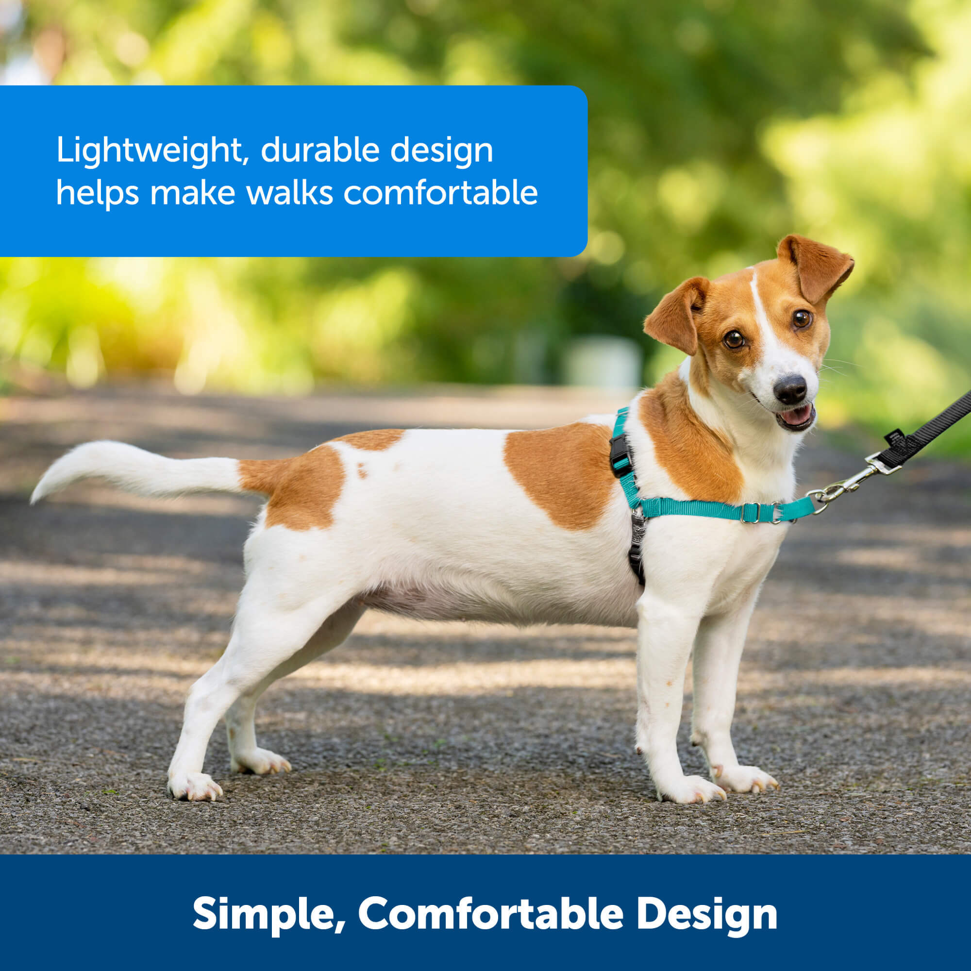 PetSafe easy walk Simple, comfortable design