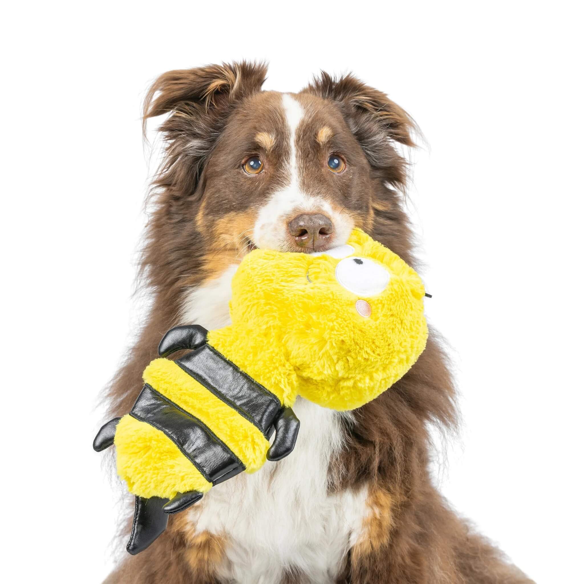 Huxley & Kent - Dog Toy - Buzz Bee