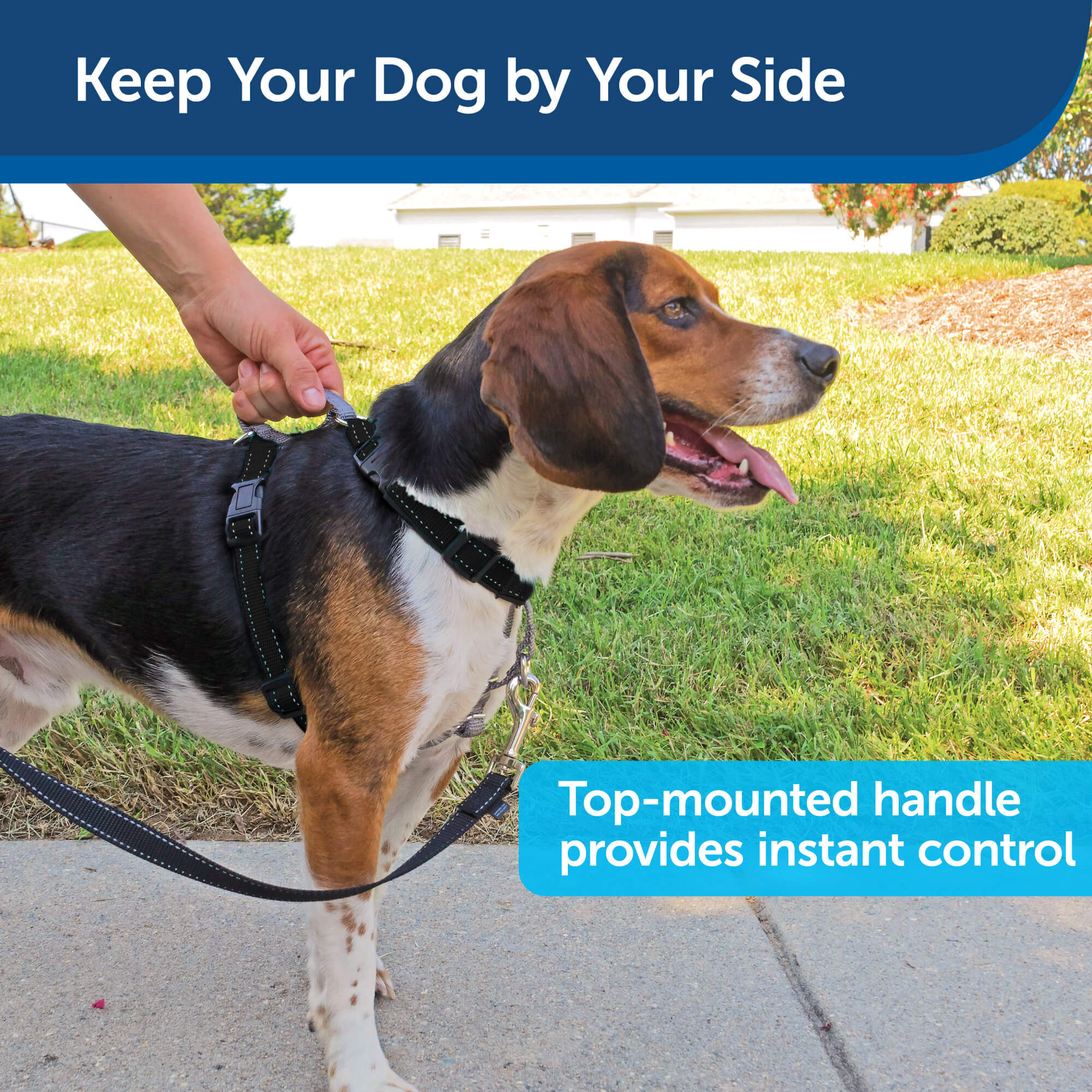 Keep your dog by your side PetSafe