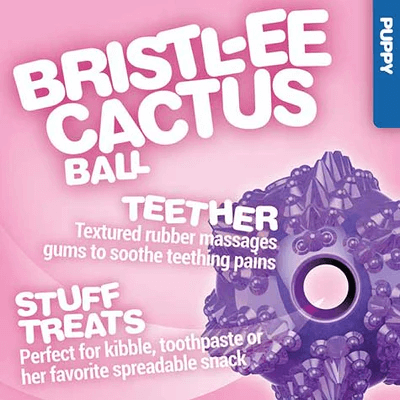 JW - JW Bristl-ee Cactus Ball Puppy Toy