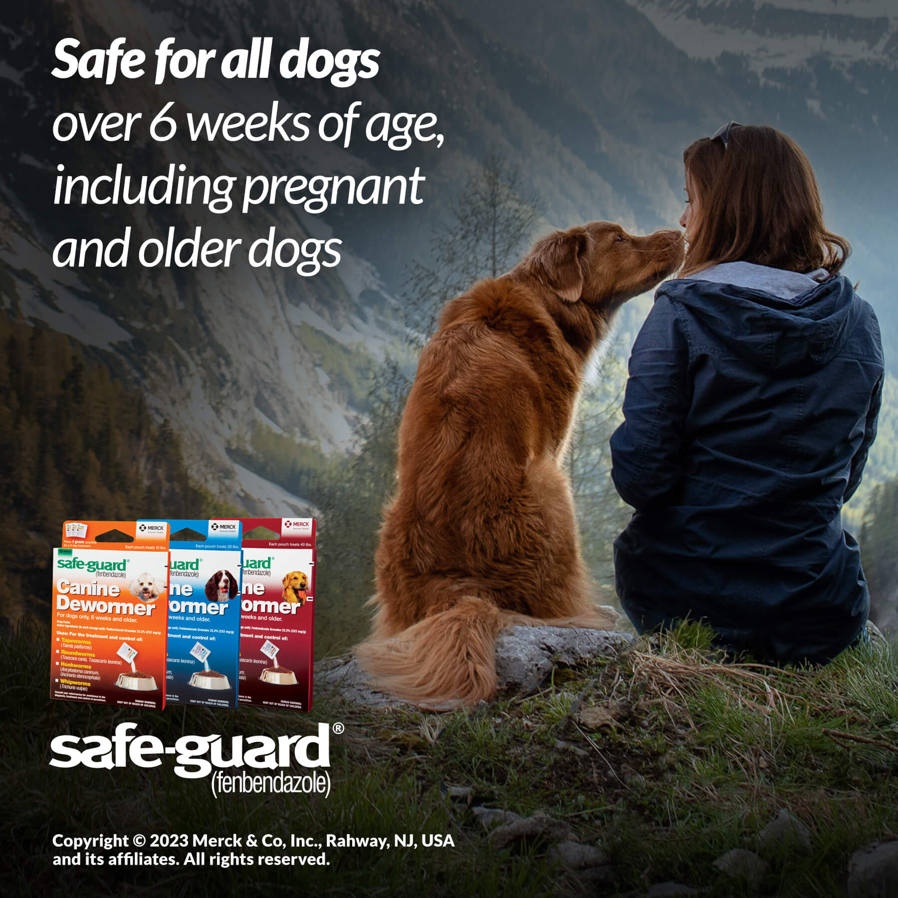 Safe-Guard - Canine Dewormer