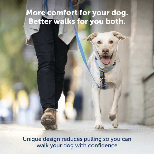 PetSafe - Dog Harness