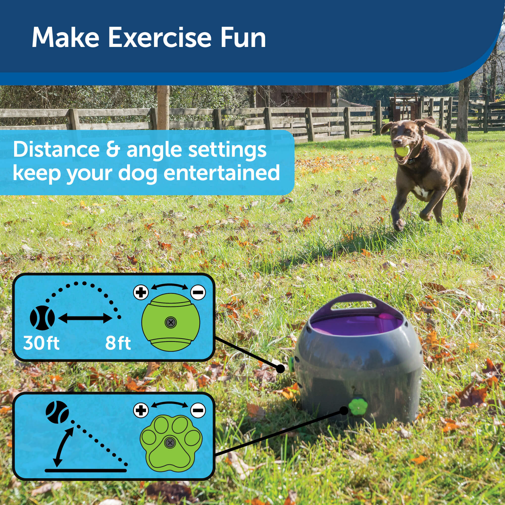 PetSafe ball launcher Make exercise fun