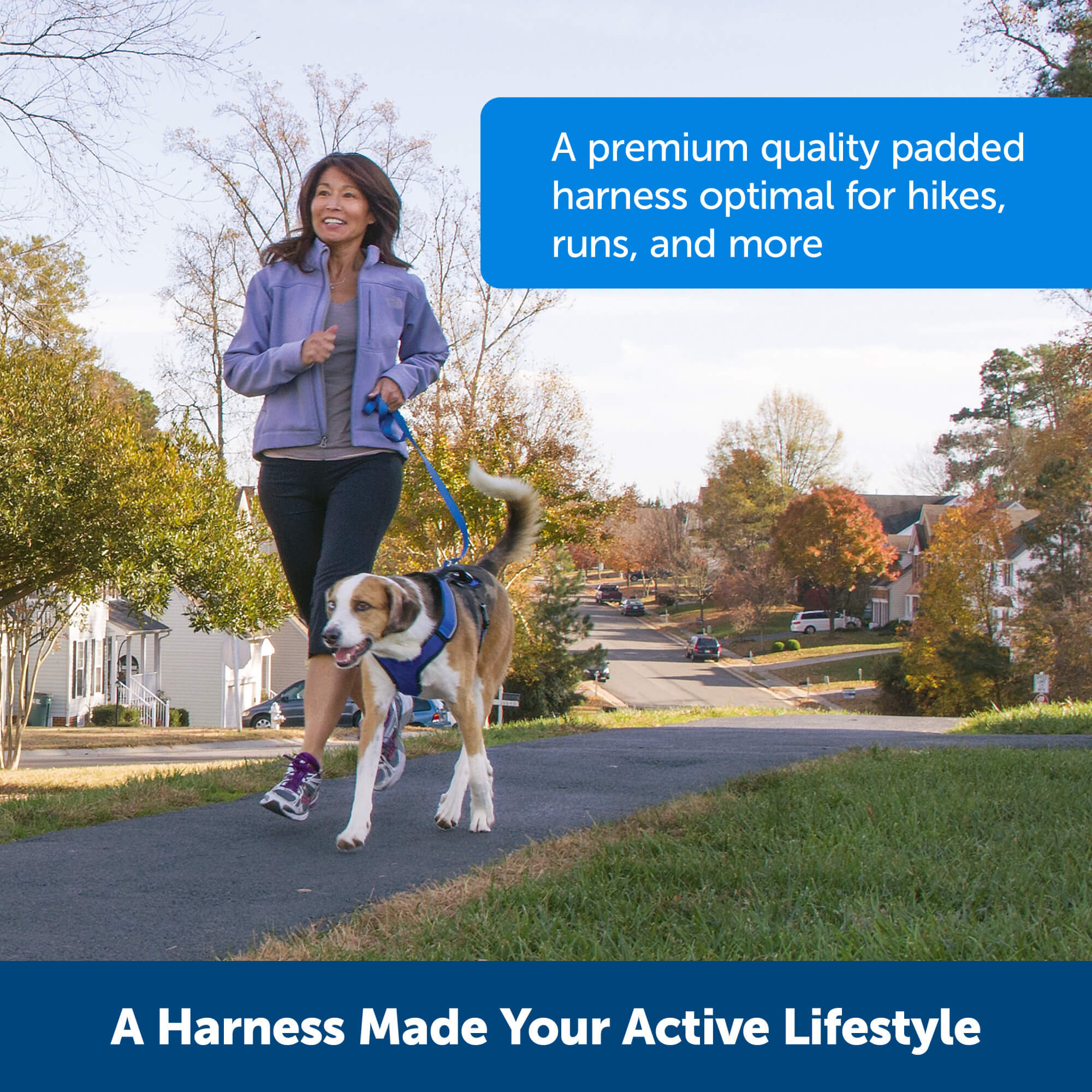 Petsafe EasySport Harness for your active lifestyle