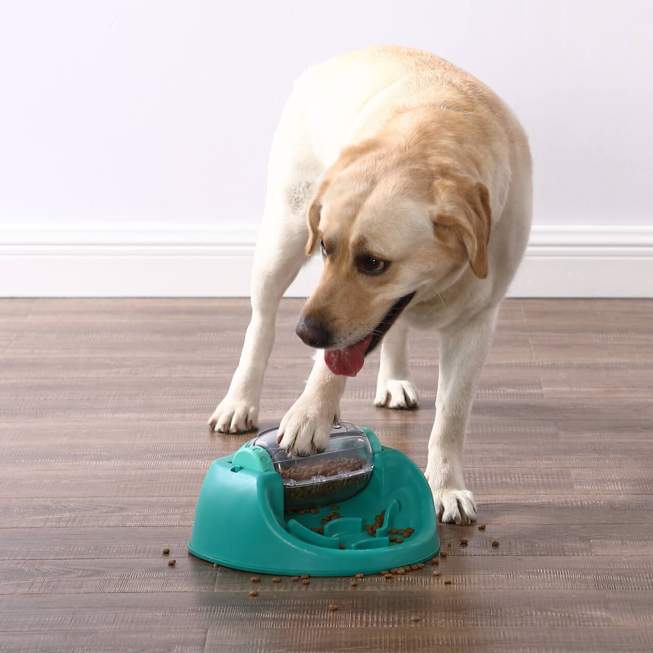 Outward Hound - Dog Slow Feeder - Spin N' Eat