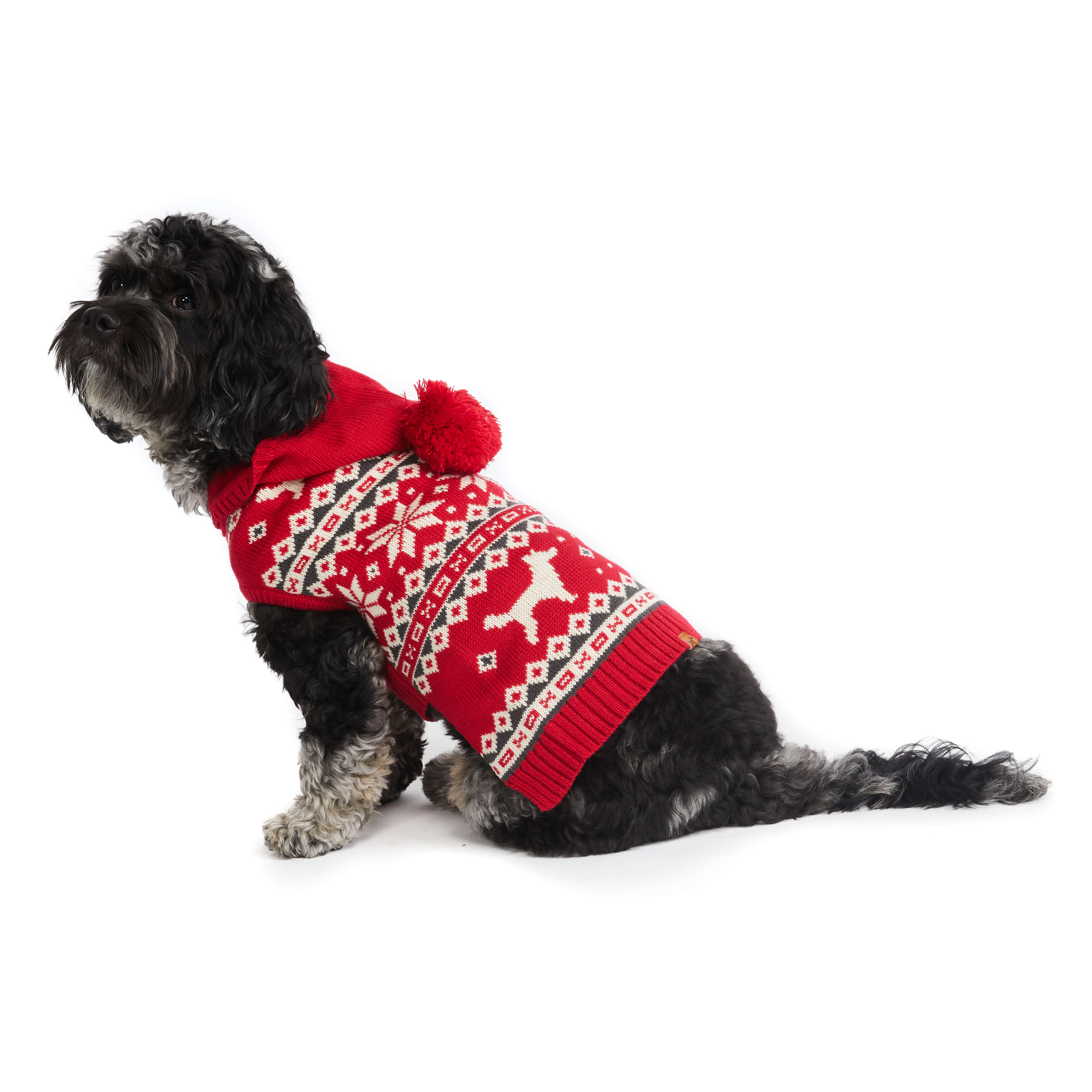 Dog wearing festive red sweater. Side view