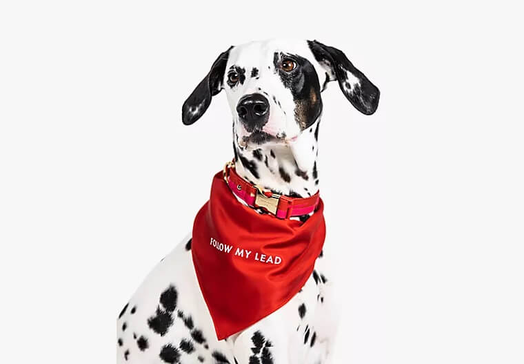 Kate Spade New York - Reversable Dog Bandana - Follow Lead/Woof