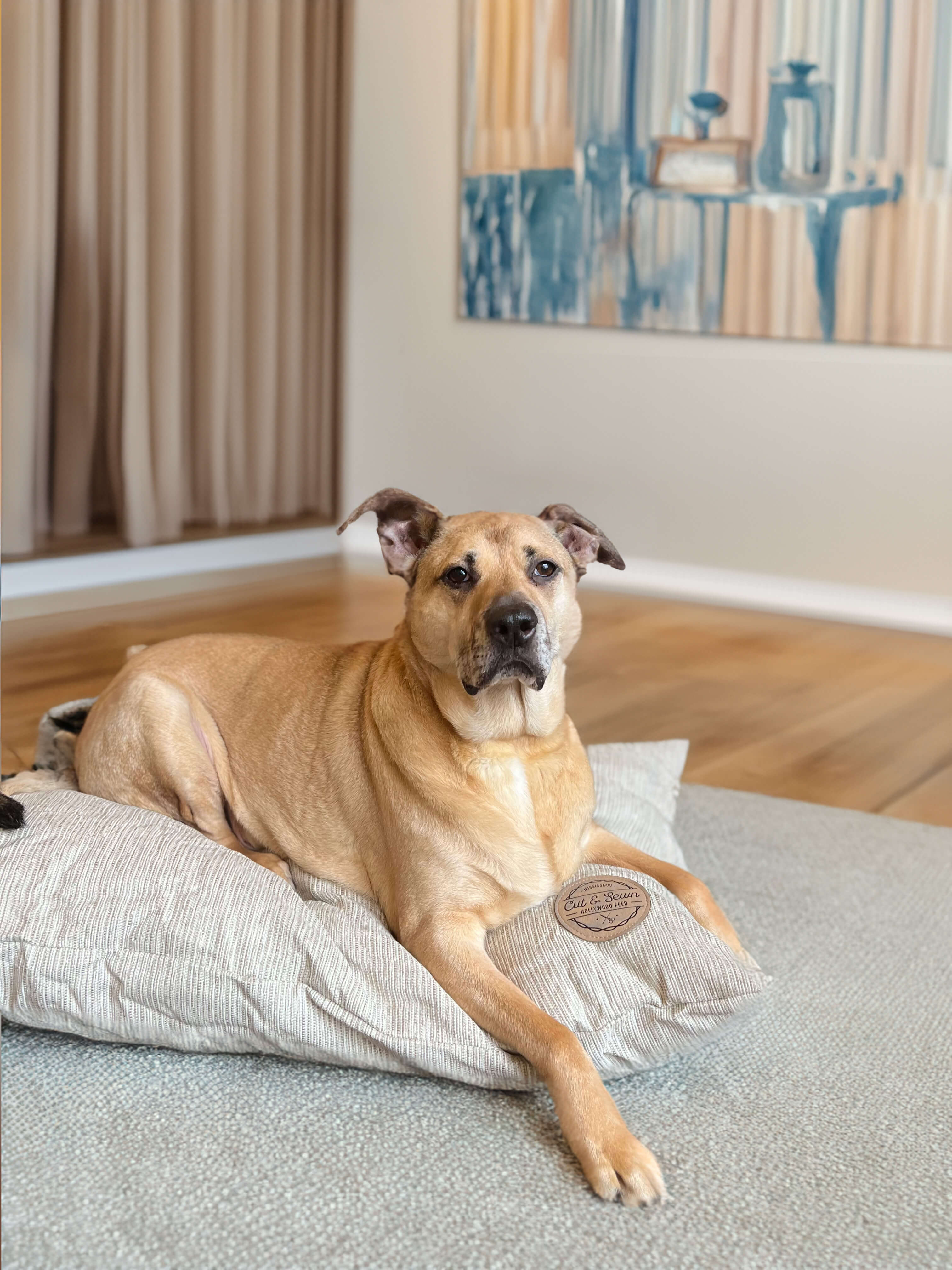 Mississippi Cut & Sewn - Dog Bed - Pillow Bed