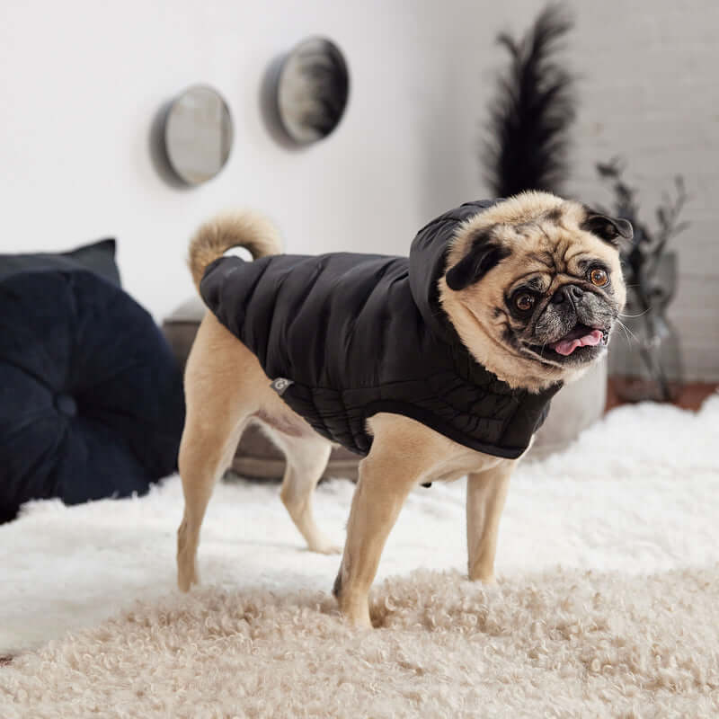 GF Pet - Dog Coat