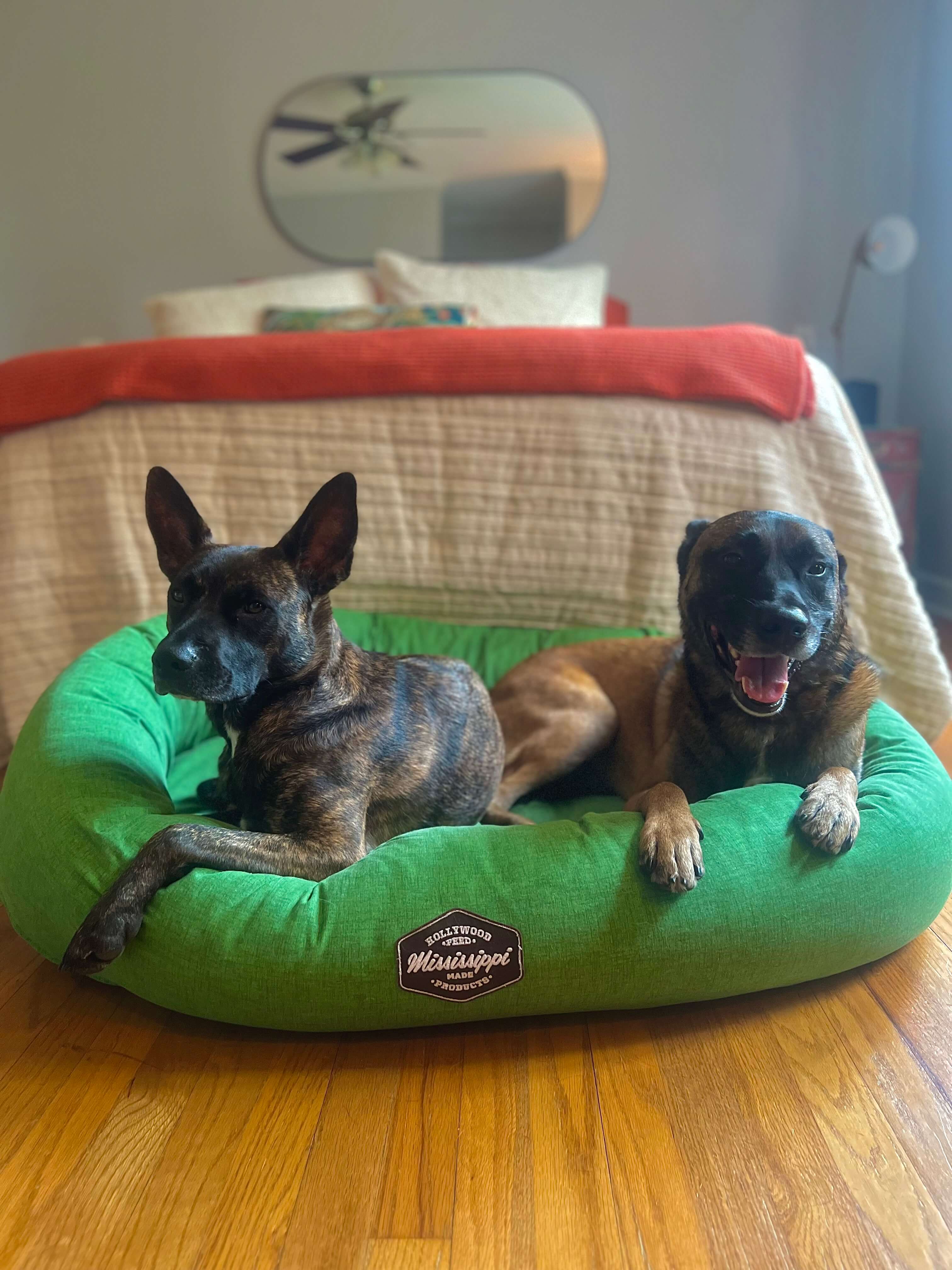 Donut Dog Bed