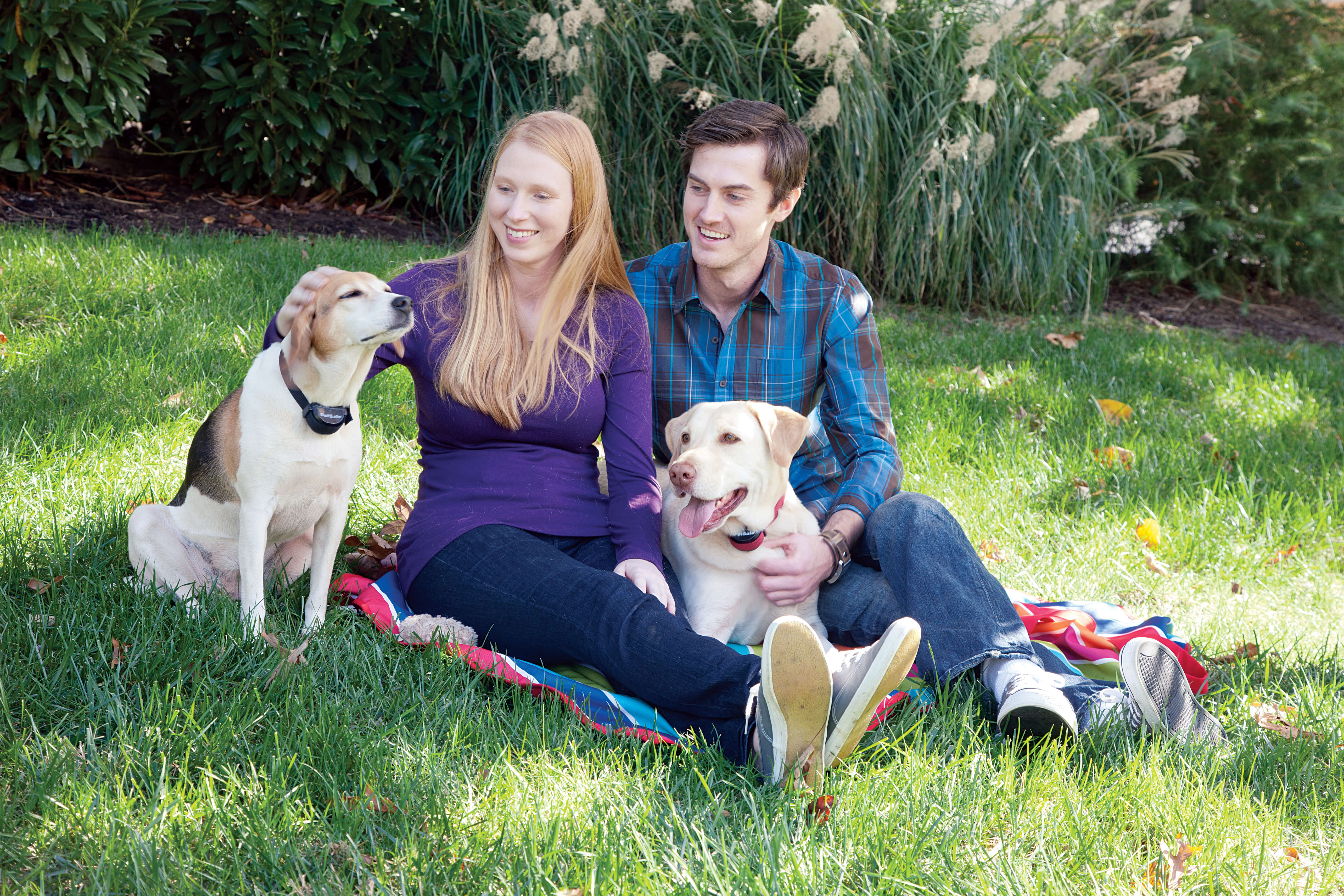 Two dogs wearing petsafe stay and play collars sitting beside man and woman