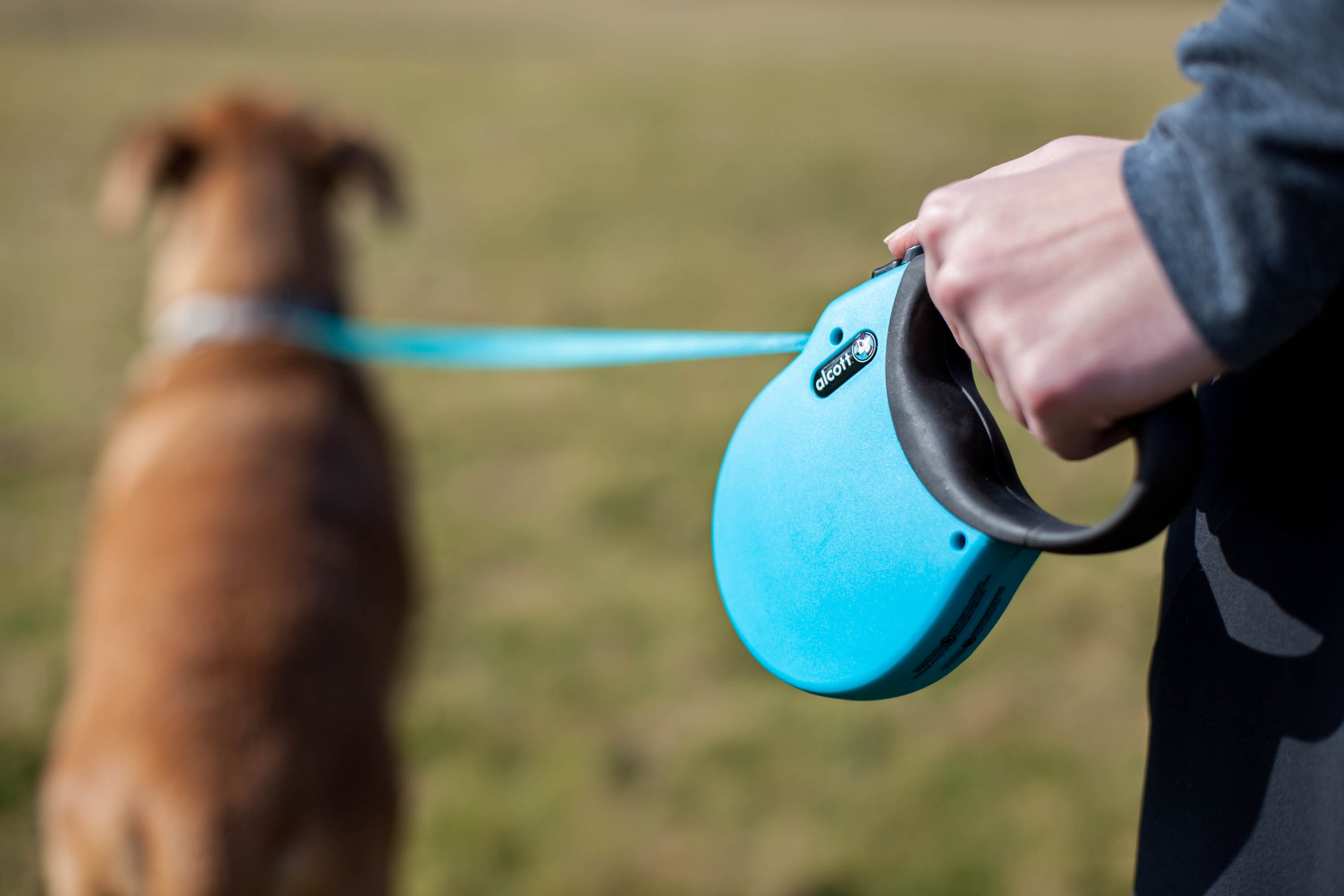 Alcott Retractable Adventure leash in blue with dog