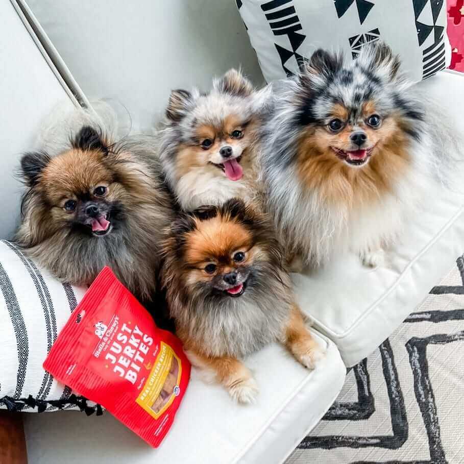 Stella & Chewy's - Dog Treats - Chicken Jerky Bites