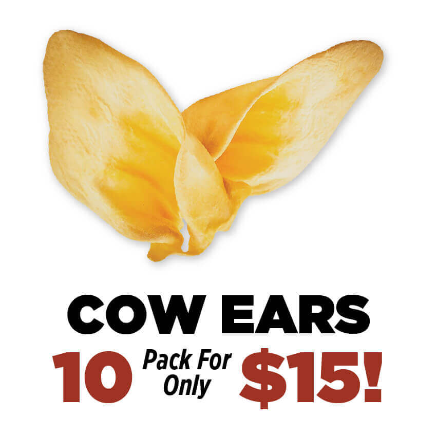 Bulk Buys! 10 pack of Cow Ears for $15