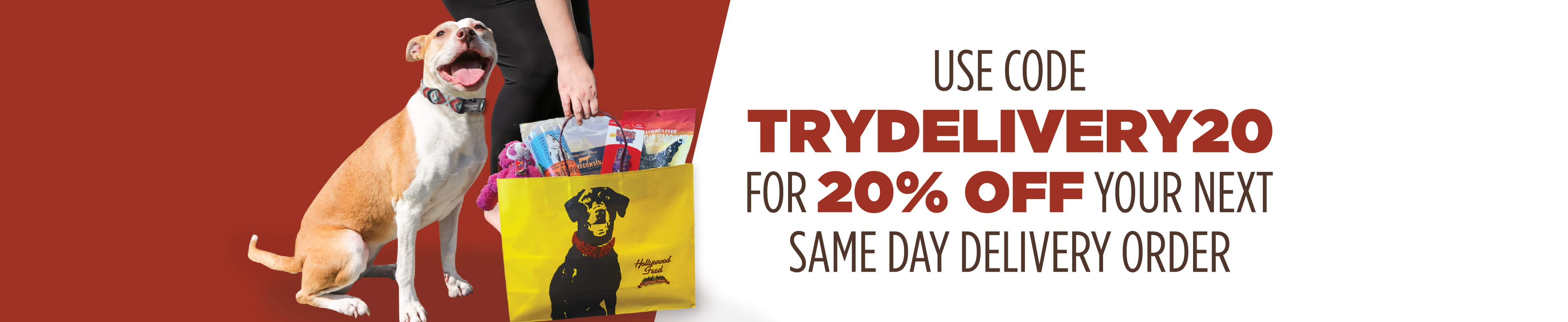Use Code TRYDELIVERY20 for 20% Off your next Same Day Delivery Order!