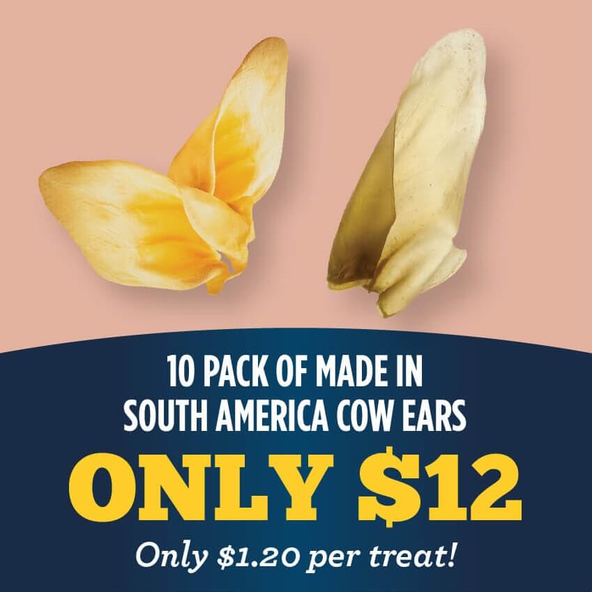 Bulk Buys! 10 pack of Made in South America Cow Ears for $12