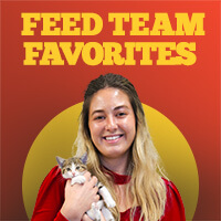 Shop Feed Team Favorites