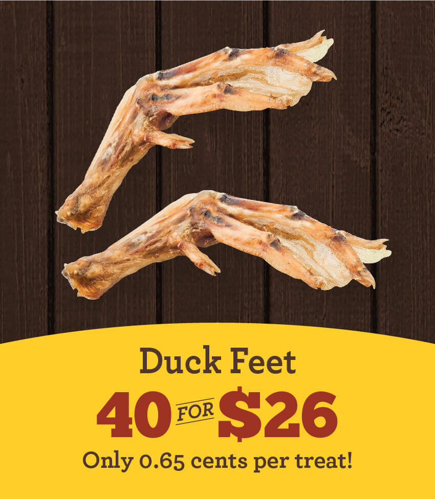 40 for $26 Duck Feet (Only 0.65 cents per treat!) - In store Only!