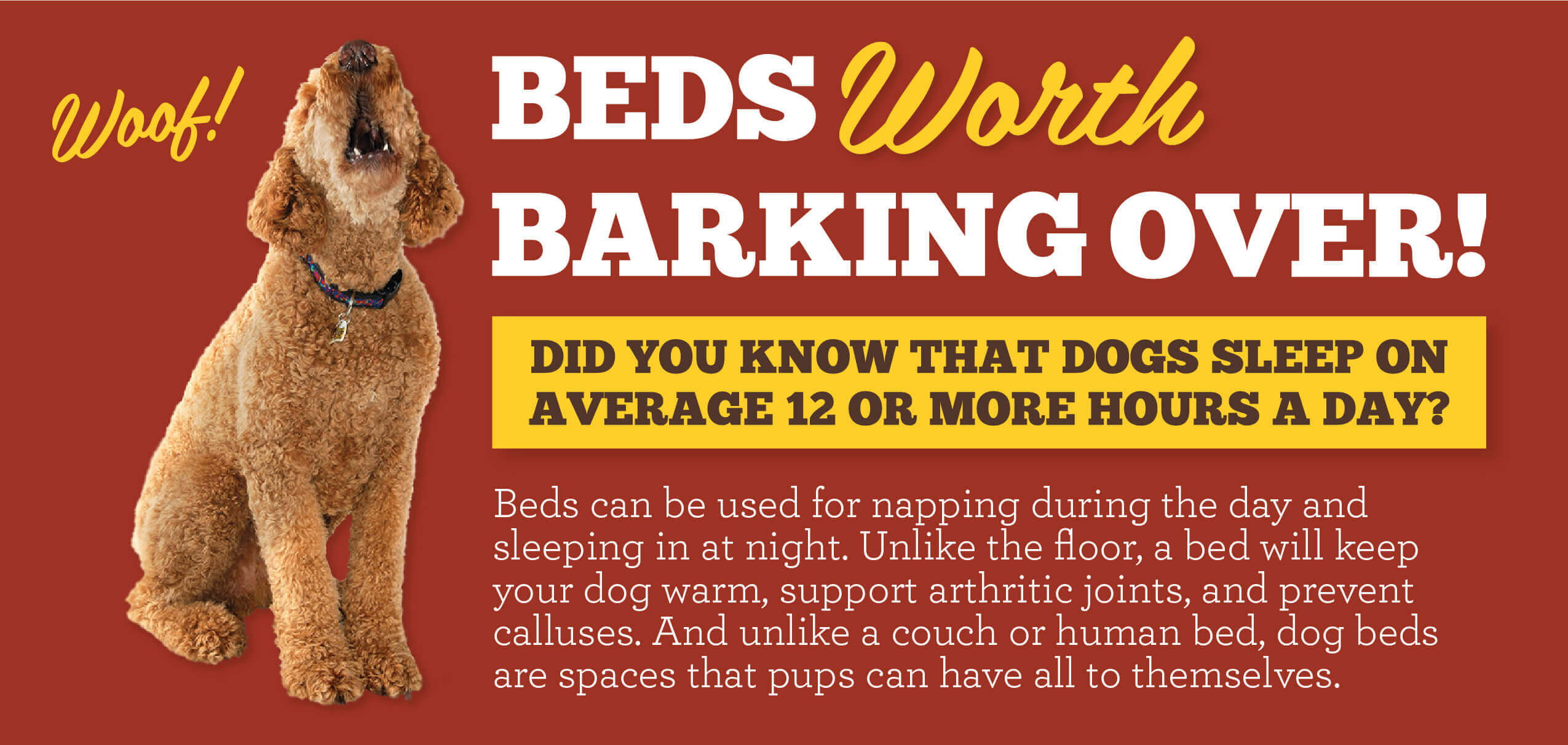 Beds worth Barking Over!