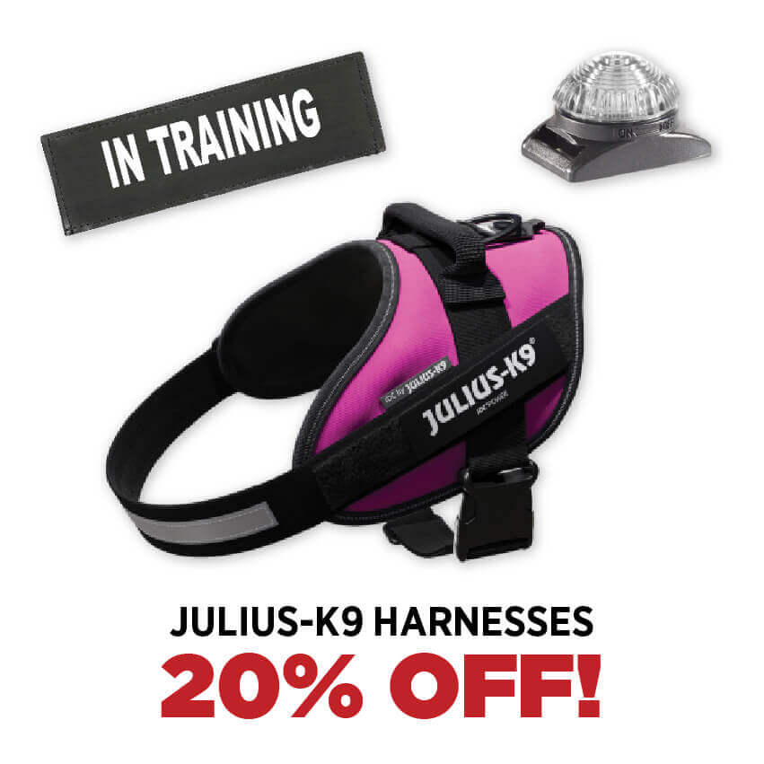 20% Off Julius-K9 Harnesses