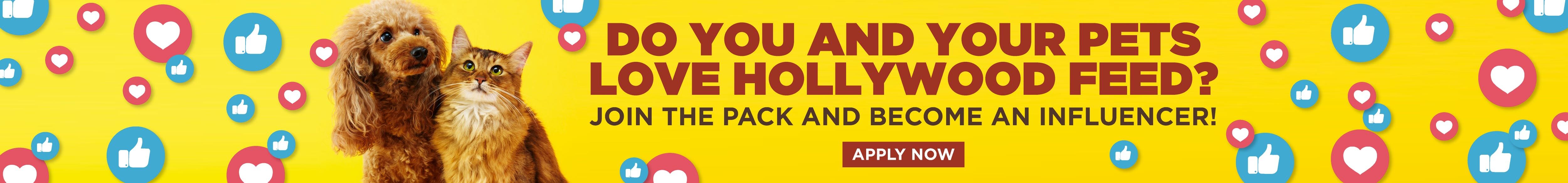 Do You and your pets love Hollywood Feed? Apply to be an influencer. Click to visit the apply now page