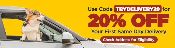 Use Code TRYDELIVERY20 for 20% Off Your First Same Day Delivery - Check Address for Eligibility