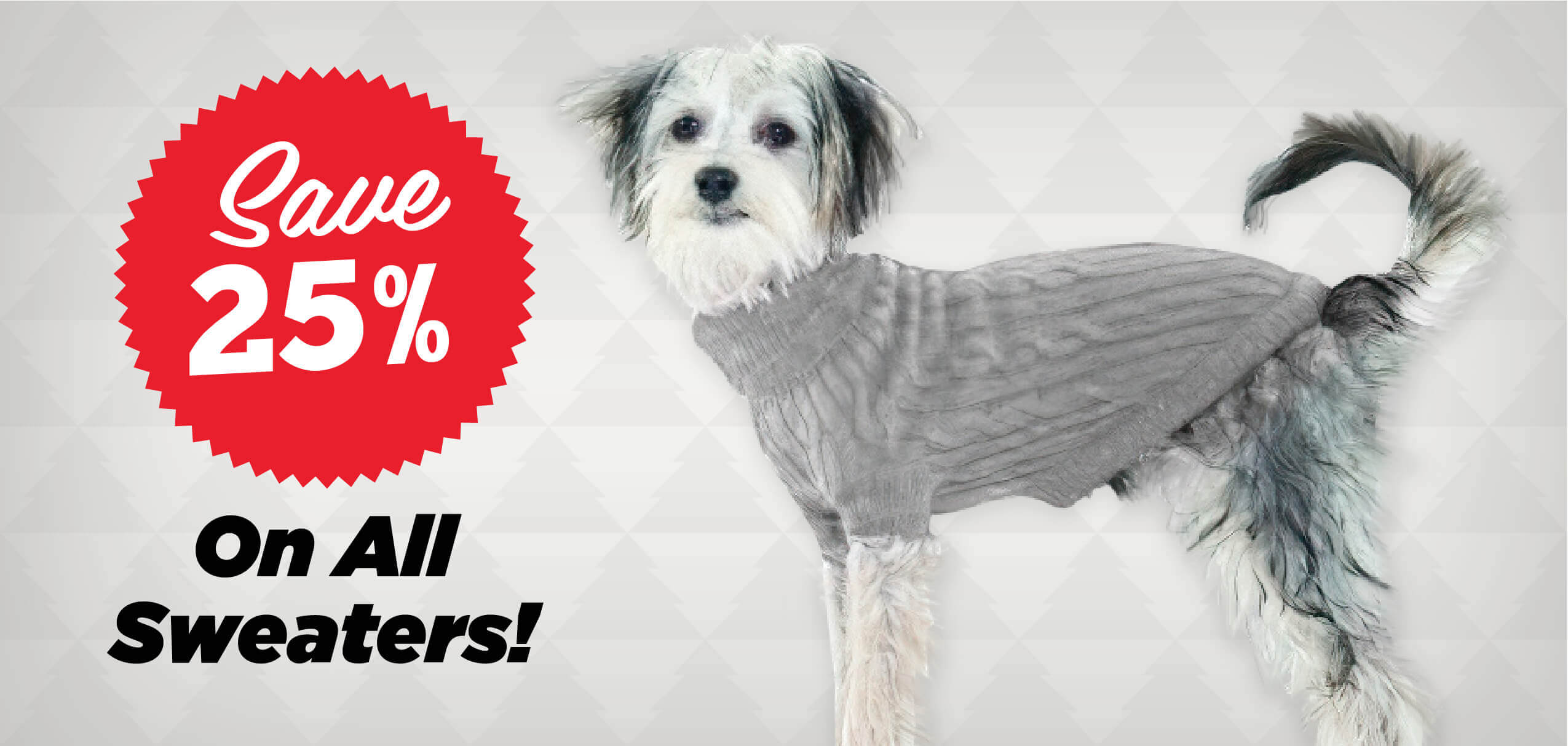 25% Off All Sweaters