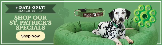 4 Days only - St. Patricks Special - Shop Now
