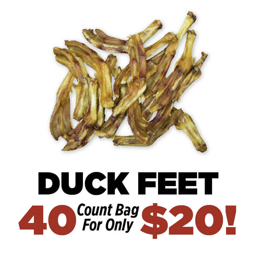 Bulk Buys! 40 ct Bags of Duck Feet for $20